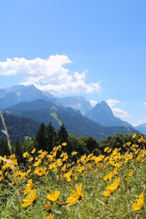 Pfeiffer Alm Am Sonnenhang Mit Blick Auf Die Zugspitze Garmisch-Partenkirchen Extérieur photo